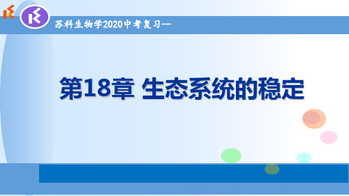 2020年生物中考复习 苏科版八年级上册 第18章 生态系统的稳定 课件(共20张PPT)(共20张