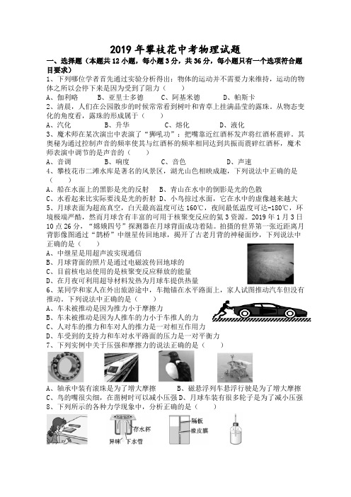 2019年攀枝花中考物理试题