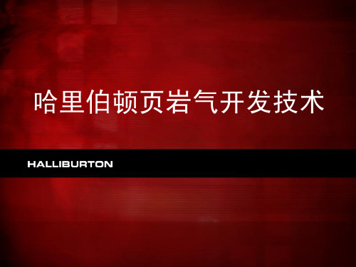 哈里伯顿页岩气开发技术简介