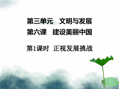 九年级道德与法治上册 第六课 建设美丽中国 第1框 正视发展挑战课件 新人教版