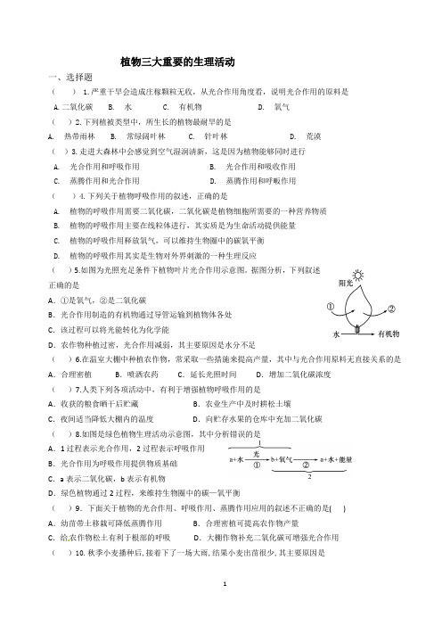 绿色植物三大重要的生理活动练习题 生物人版七年级上册