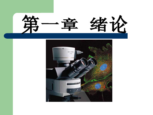 徐州工程学院食品学院课件《微生物》第一章  绪论