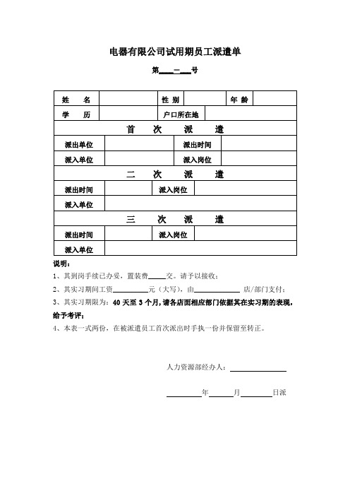 电器有限公司试用期员工派遣单