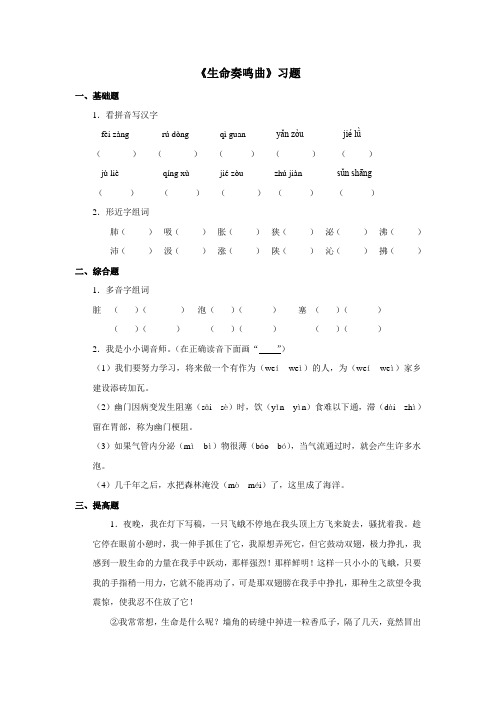 语文北师版六年级下册 推荐《生命奏鸣曲》习题