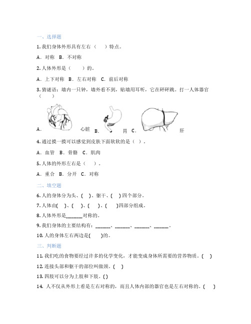 小学科学 1. 观察我们的身体 课后练习题