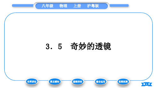 粤沪版八年级物理上第三章光和眼睛3