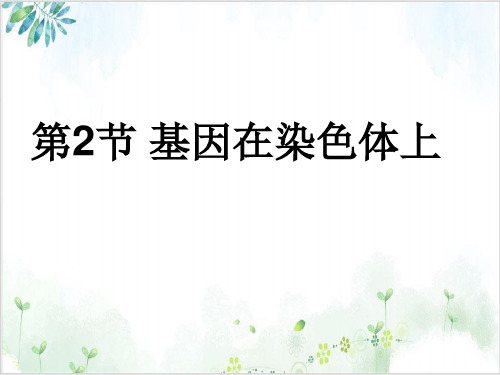 人教版高中生物必修二基因在染色体上(25张)-PPT优秀课件