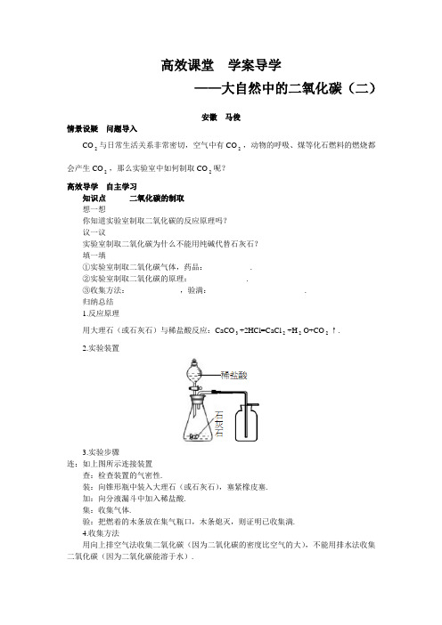 鲁教版化学八年级高效课堂 学案导学——大自然中的二氧化碳