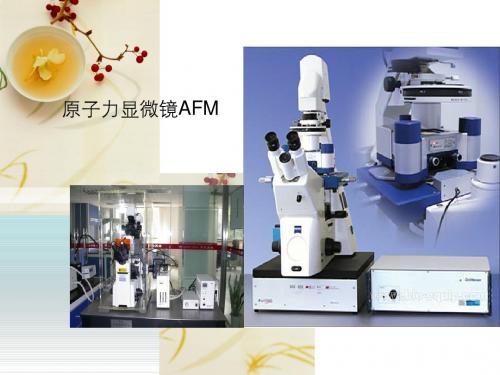 原子力显微镜(AFM)原理及应用讲解