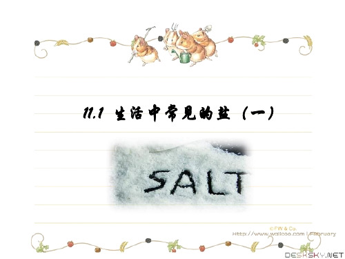 人教版初中化学九下11.1 生活中常见的盐 第一课时课件 (1)