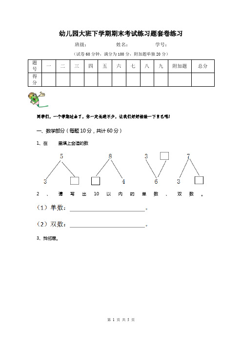 幼儿园大班下学期期末考试练习题套卷练习