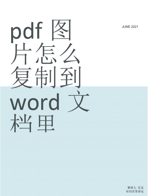 整理pdf图片怎么复制到word文档里_品