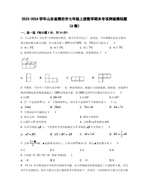 2023-2024学年山东省潍坊市七年级上学期数学期末学情检测模拟题合集2套(含解析)