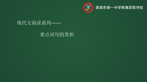 重点词句的赏析PPT教学课件