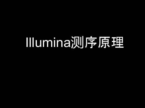 Illumina测序基本知识