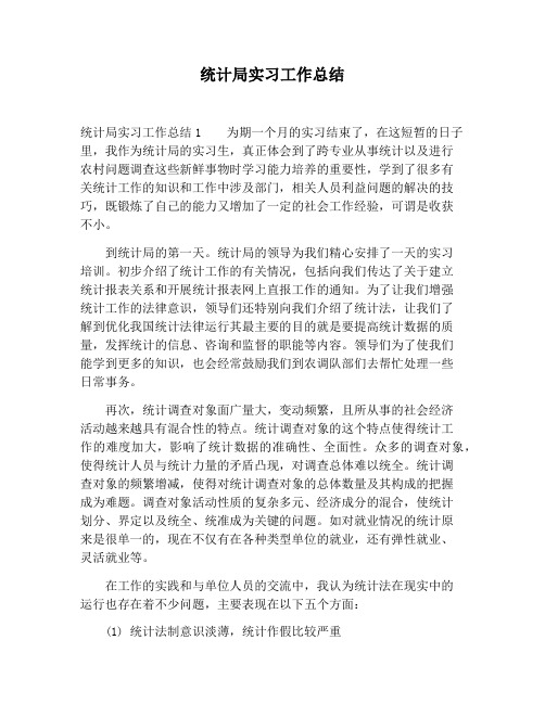 【工作总结范文】统计局实习工作总结