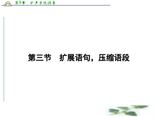 高三语文一轮总复习(新课标)课件：第一单元语言文字运用(第三节)