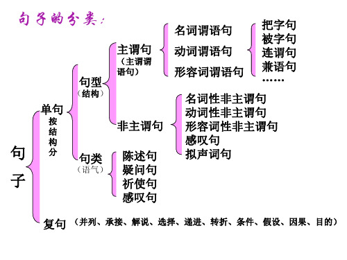 第五章单句