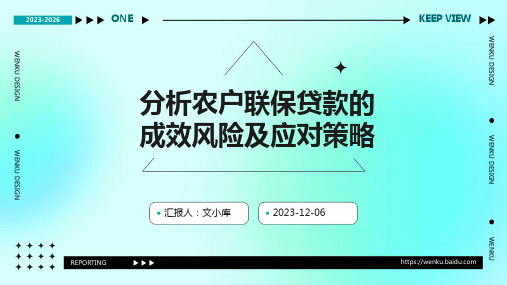 分析农户联保贷款的成效风险及应对策略