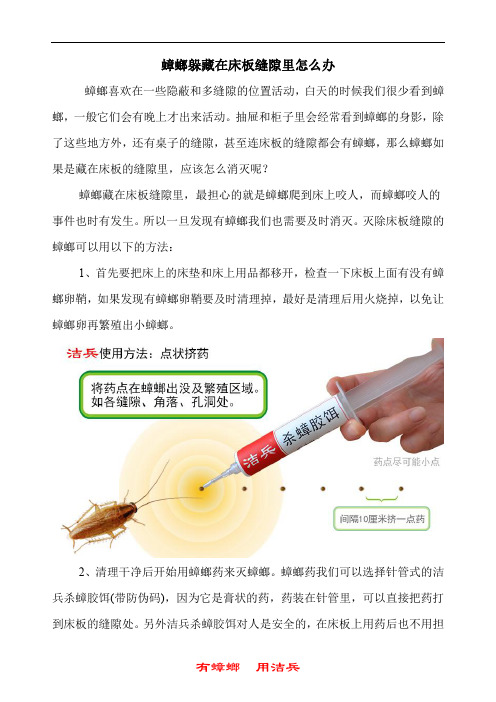 小强蟑螂躲藏在床板缝隙里怎么办