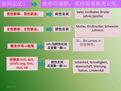 德语名词和动词PPT文档资料