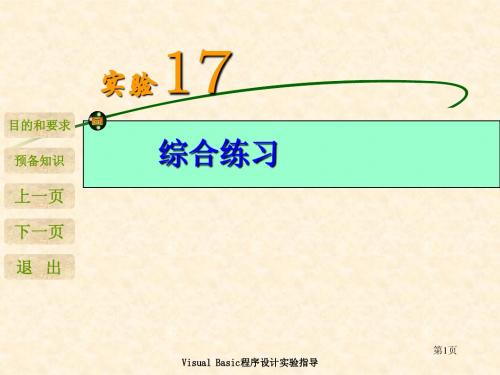 VB实验17 综合练习