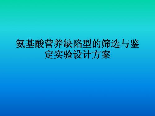 芽孢杆菌营养缺陷型的筛选与鉴定实验