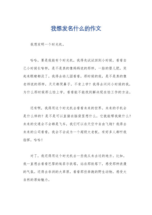 我想发名什么的作文