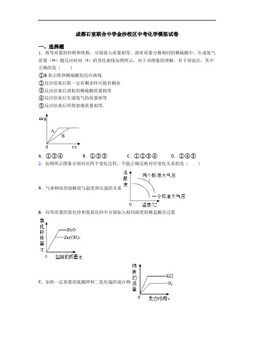 成都石室联合中学金沙校区中考化学模拟试卷