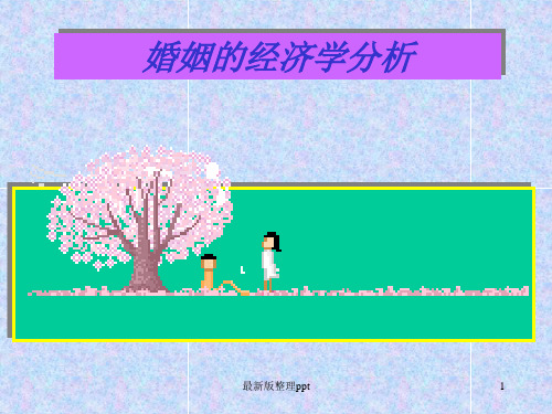 婚姻经济学分析ppt课件