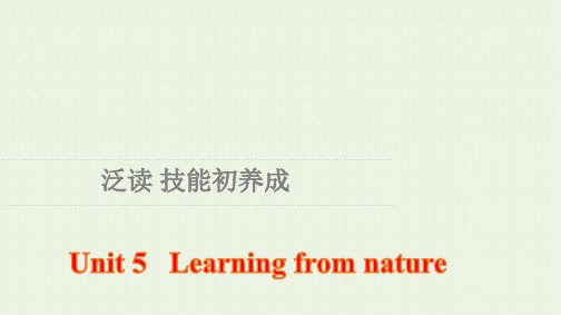 新教材高中英语Unit5泛读技能初养成课件外研版选择性必修第三册ppt