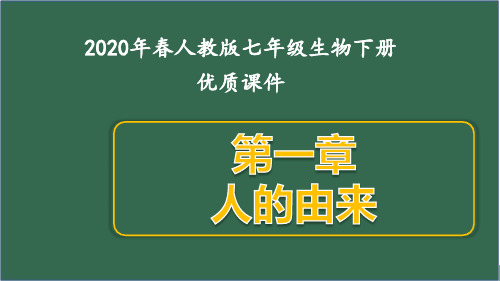 人教版七年级生物下册第一章 人的由来全套课件