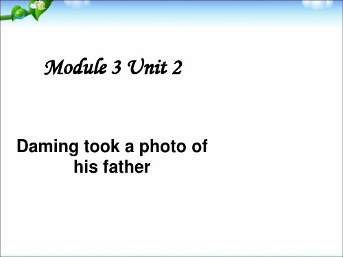 【外研版】五年级英语上册--Daming-took-a-photo-of-his-father.