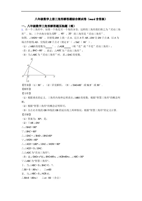 八年级数学上册三角形解答题综合测试卷(word含答案)