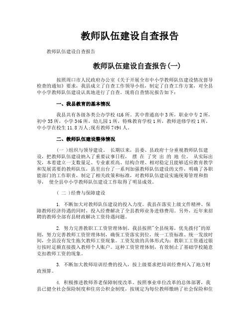 教师队伍建设自查报告