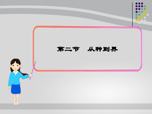 人教版初中生物八年级上册6.1.2 从种到界 课件 (共30张PPT)