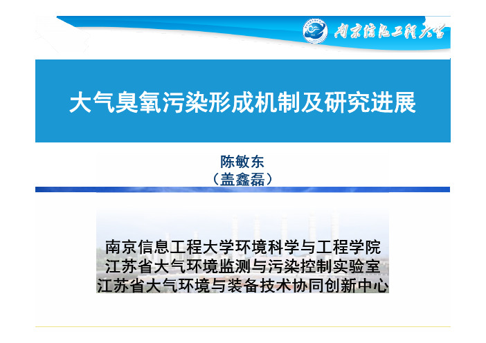 大气臭氧污染形成机制及研究进展