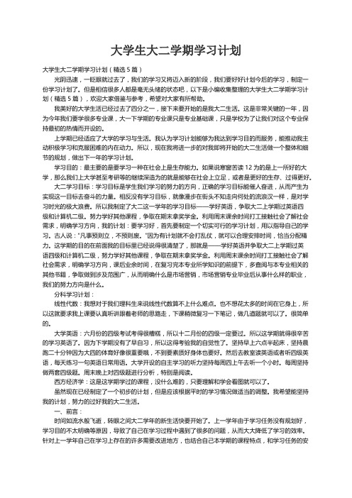 大学生大二学期学习计划（精选5篇）