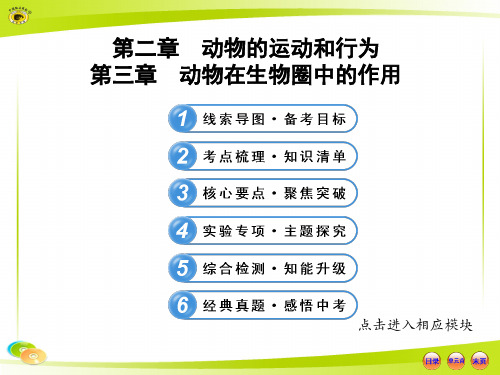 人教版   初中生物  中考复习  八上  第五单元  第二章  动物的运动和行为   第三章  动物在生物圈中的作用