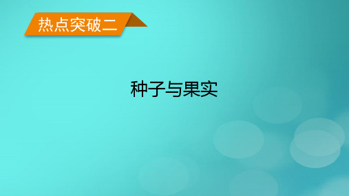 老高考适用2023版高考生物二轮总复习热点突破2种子与果实课件