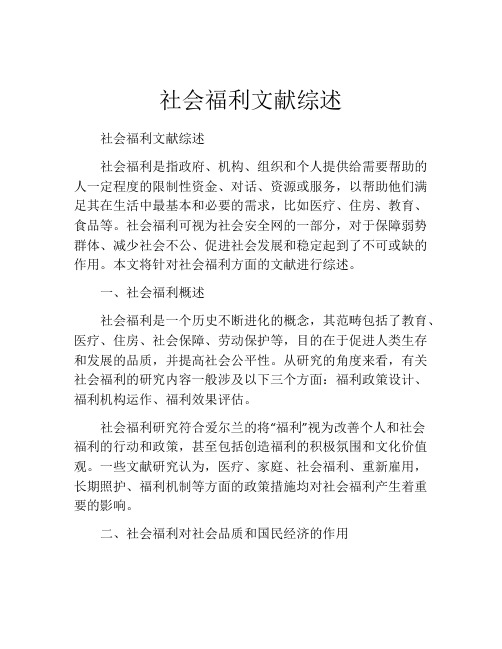 社会福利文献综述