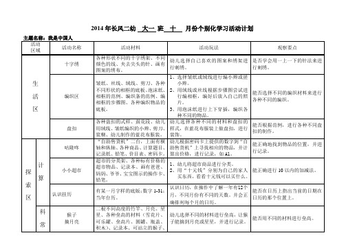 我是中国人主题个别化