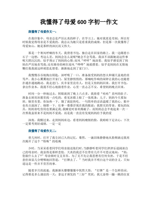 我懂得了母爱600字初一作文