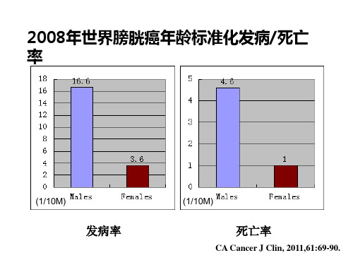 膀胱癌诊疗指南非肌层浸润性