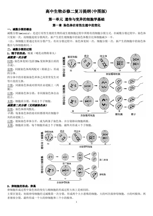 中图生物必修2 知识点