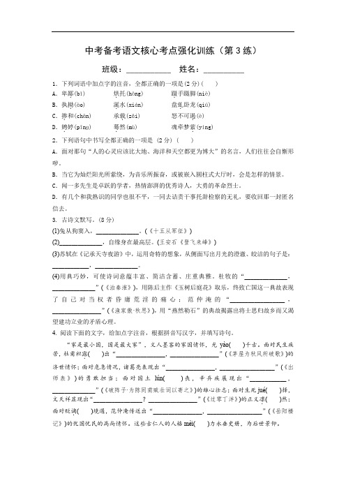 中考备考语文核心考点强化训练(第3练)含答案与解析