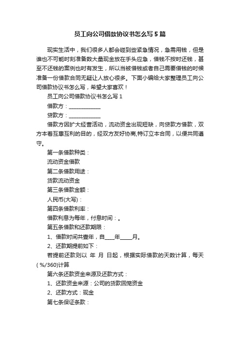 员工向公司借款协议书怎么写5篇