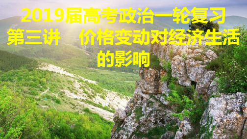 价格变动对经济生活的影响:2019届高考一轮复习课件