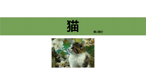 《猫》PPT教学课件(第2课时)