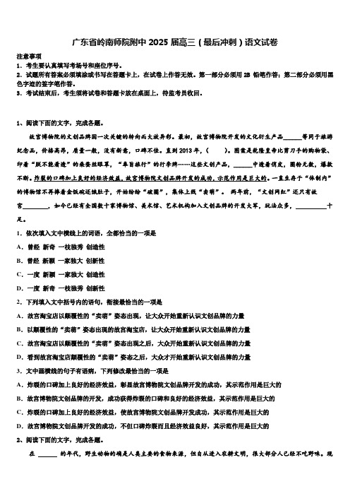 广东省岭南师院附中2025届高三(最后冲刺)语文试卷含解析